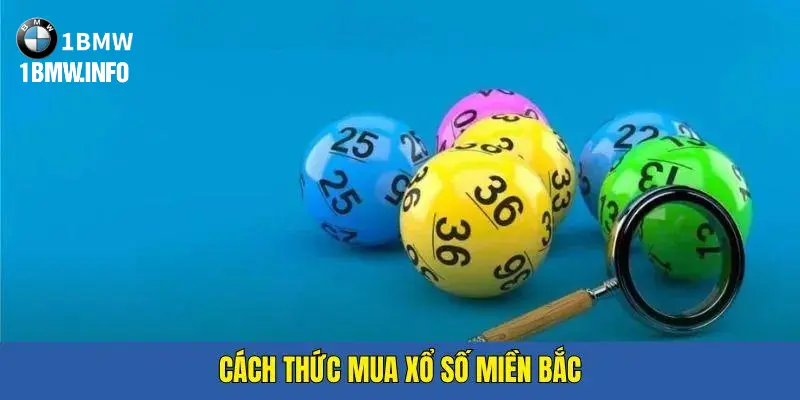 Chia sẻ thực tế từ người chơi chuyên nghiệp xổ số miền Bắc